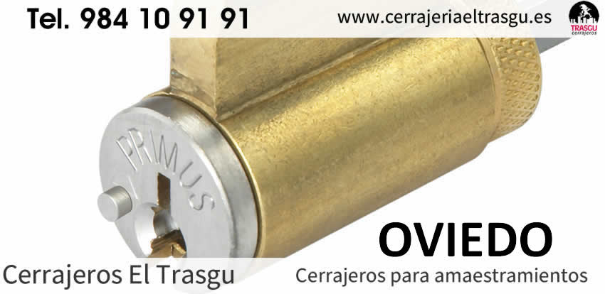 amaestramientos OVIEDO por cerrajeros el trasgu