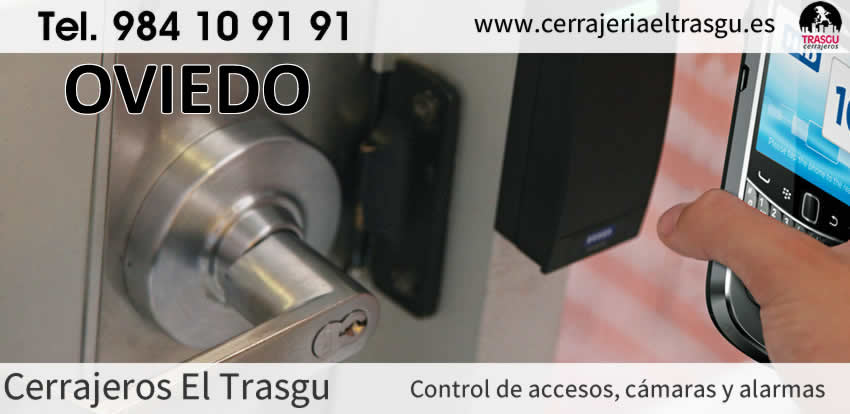 seguridad OVIEDO asesoria protección el trasgu