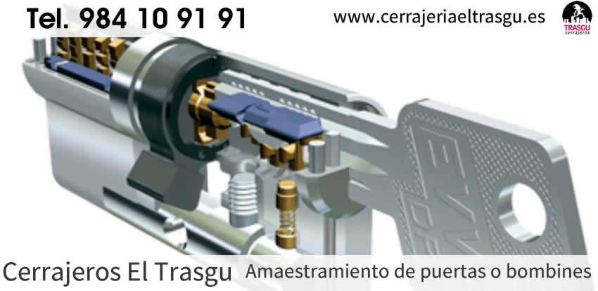 AMAESTRAMIENTOS puertas o bombines en Asturias